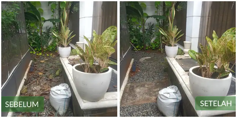 Before After #6