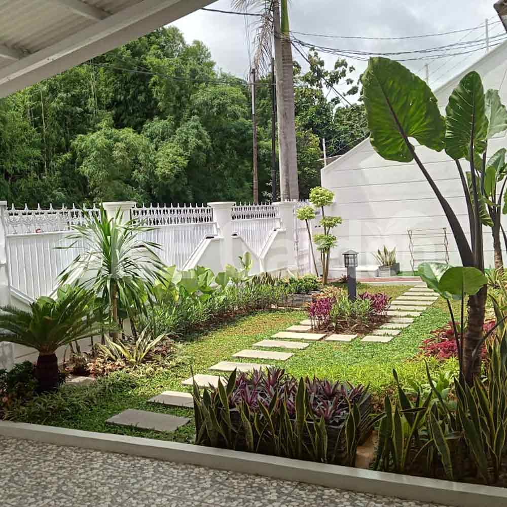 Tropical Garden