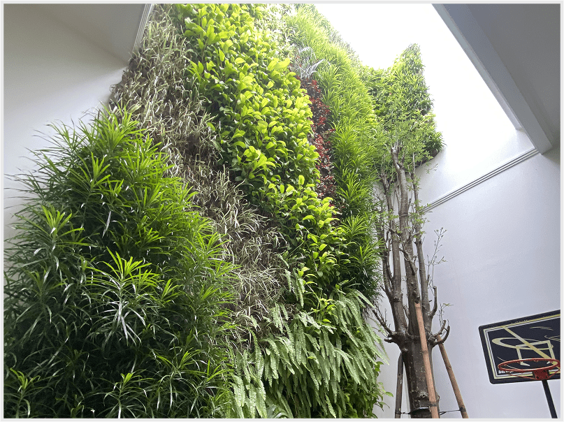 Vertical Garden